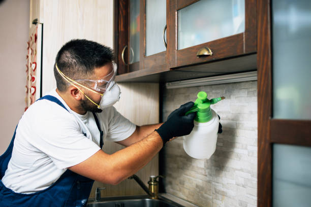 Best Wildlife Control Services  in Underwood Petersville, AL