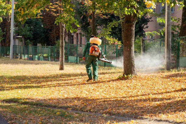 Best Local Pest Control Services  in Underwood Petersville, AL