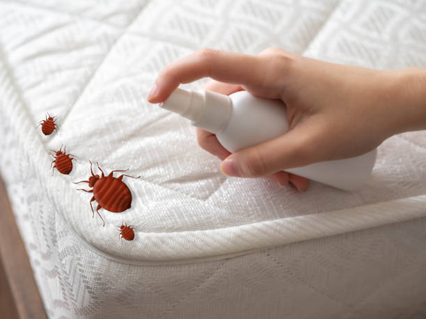 Best Pest Control Near Me in Underwood Petersville, AL